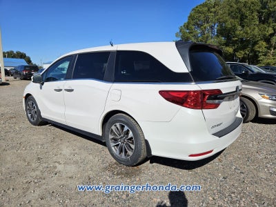 2023 Honda Odyssey EX-L
