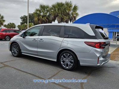 2025 Honda Odyssey Touring